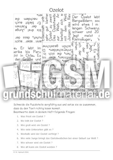 Ozelot.pdf